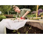 Rapid Agrafeuse R53, rouge