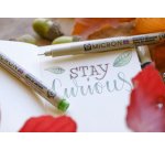 Fijne stift PIGMA MICRON 05 , aardkleur, etui van 6 stuks