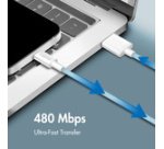 Câble USB 2.0, USB-A - USB-C, 1,0 m