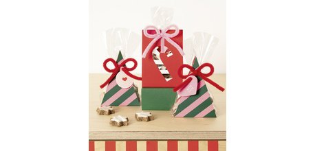 Kit d'emballage pour biscuits SWEET CHRISTMAS