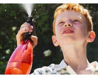 Vaporisateur pour fleurs FUCHSIA, 0,7 litre, vert citron