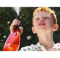 Vaporisateur pour fleurs FUCHSIA, 0,7 litre, vert citron