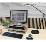 LED Desk Lamp OMEGA, standing, black
