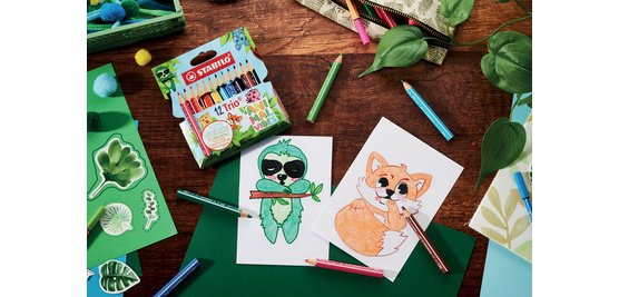 Crayon de couleur Trio Animal Vibes, étui de 12