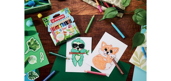 Crayon de couleur Trio Animal Vibes, étui de 12