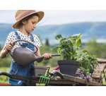 Watering can with long spout, 2.0 liters, denim blue