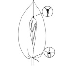 Couverture de protection hivernale, 760 mm