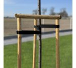 Bande de ligature pour arbres, PP, 25 mm x 25 m, noir