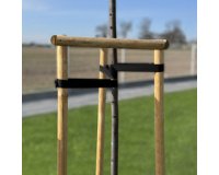 Bande de ligature pour arbres, PP, 30 mm x 50 m, noir