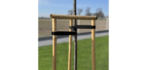Bande de ligature pour arbres, PP, 50 mm x 25 m, noir