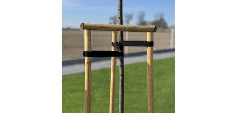 Bande de ligature pour arbres, PP, 25 mm x 25 m, noir