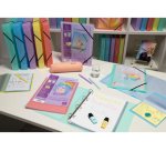 Protège-documents, A4, PP, 50 pochettes, assorti