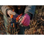 Ciseaux de jardin multifonction V-SERIES, orange