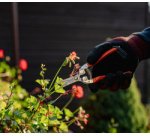 Sécateur bypass V-SERIES, lame inox droite, orange