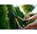 Cisaille taille-haie V-SERIES WOOD, lame 200 mm