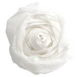 Clairefontaine crepe paper, 10 shts, 2x0 50m, assorted - chocolate