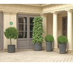 Panneau de signalisation 'Point de rassemblement'