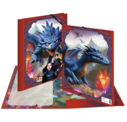 Chemise à élastique 'Dragons', carton, A4