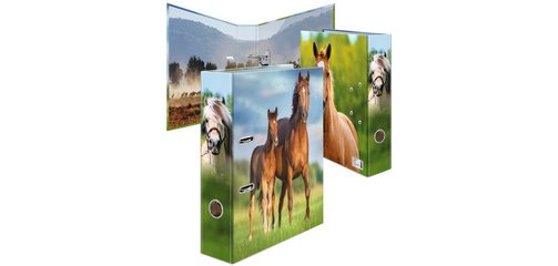 Classeur à motif 'Animaux préférés' Cheval, A4