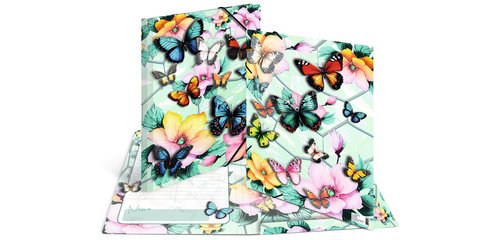 Chemise à élastique 'Papillons', carton, A3