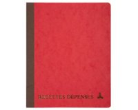 Piqûre 220X170 Recettes-dépenses 80 pages - Couleurs assorties