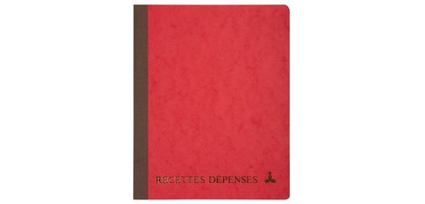 THE DOLPHIN Injection 'Income-Expenses', 220 x 170 mm