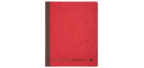 THE DOLPHIN Injection 'Income-Expenses', 220 x 170 mm