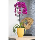 Cache-pot IRIS, diamètre: 125 mm