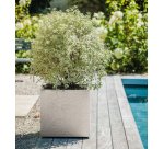 Bac à plantes VOLCANIA UP, carré, 495 mm
