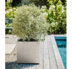 Plantenbak Volcania UP, vierkant, 395 mm