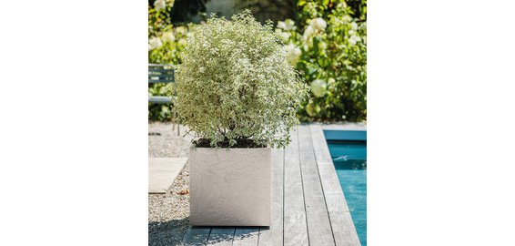 Bac à plantes VOLCANIA UP, carré, 495 mm