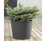 poétic Bac à plantes ELEMENT, conique, 400 mm