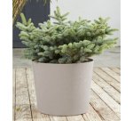 poétic Bac à plantes ELEMENT, conique, 400 mm