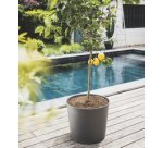 EDA Bac à plantes ELEMENT, conique, 500 mm