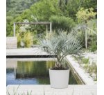 EDA Bac à plantes ELEMENT, conique, 500 mm