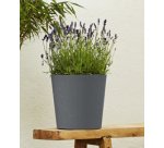 poétic Soucoupe ELEMENT, diamètre: 230 mm