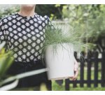 poétic Soucoupe ELEMENT, diamètre: 230 mm