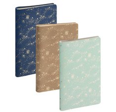 Agenda de poche SAD 16S Méline 9 x 16 cm Semainier Septembre 2025 à Décembre 2026 - 16 mois. - Couleurs assorties