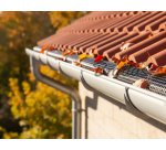 Black gutter guard