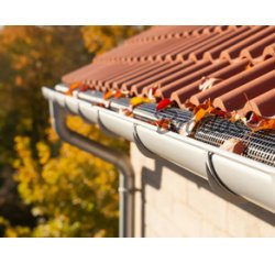 Black gutter guard