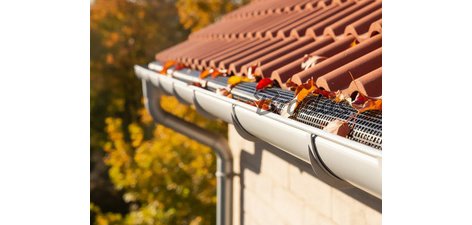 Black gutter guard