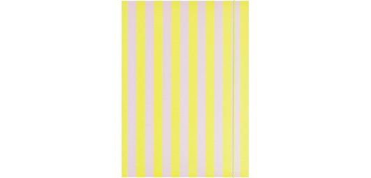 Carton à dessins 'NEON STRIPES', carton, A3
