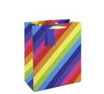 Medium 'Rainbow' gift bag