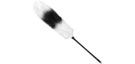 'Arlequin' feather duster, length: 580 mm