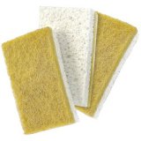Éponge 'GoGreen', pack de 3