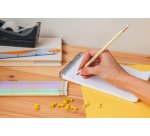 BIC Crayon de papier Evolution PASTEL, HB, assorti