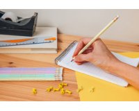 BIC Crayon de papier Evolution PASTEL, HB, assorti