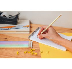 BIC Crayon de papier Evolution PASTEL, HB, assorti