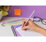 BIC Crayon de papier Evolution PASTEL, HB, assorti