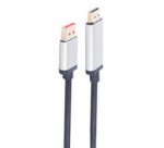 PROFESSIONAL Câble DisplayPort HDMI-A, 5,0 m